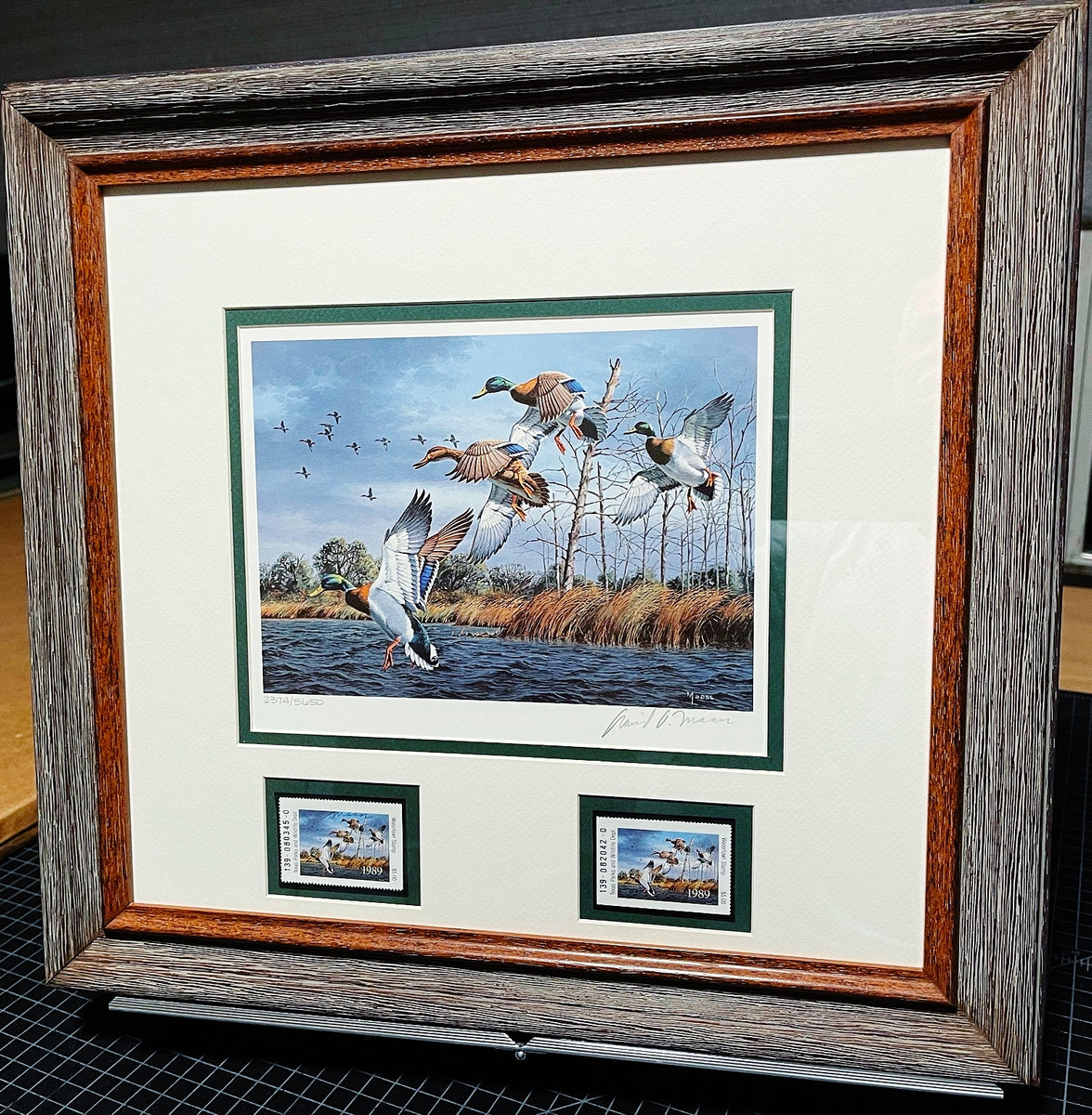 David Maass 1989 Texas Waterfowl Duck Stamp Print With Double