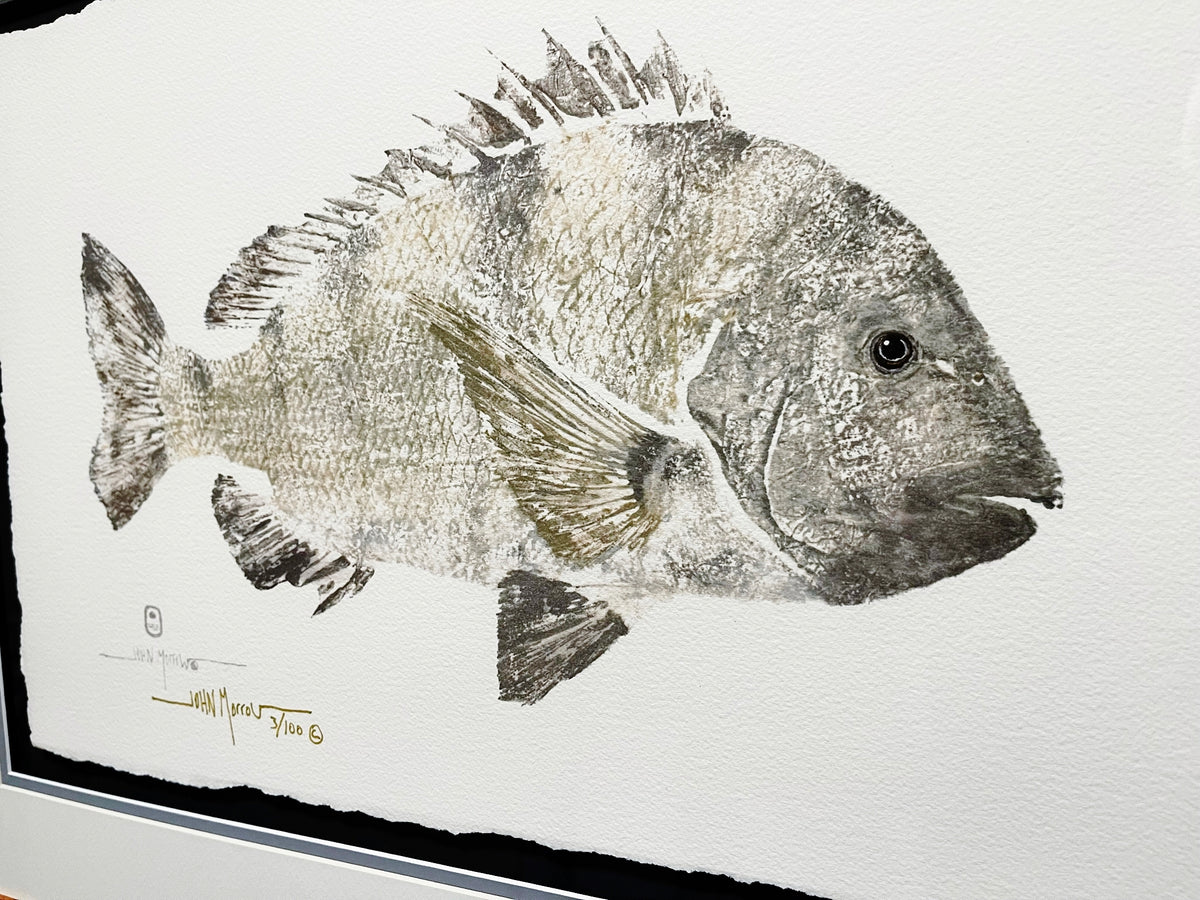 Complete Guide to Fish Printing [Gyotaku Demonstrated] - Acorn Naturalists