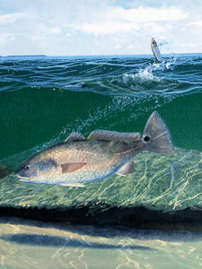 John Dearman Redfish 2009 GiClee Half Sheet - Brand New Super Custom Sporting Frame