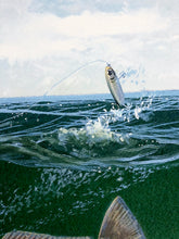 Load image into Gallery viewer, John Dearman Redfish 2009 GiClee Half Sheet - Brand New Super Custom Sporting Frame