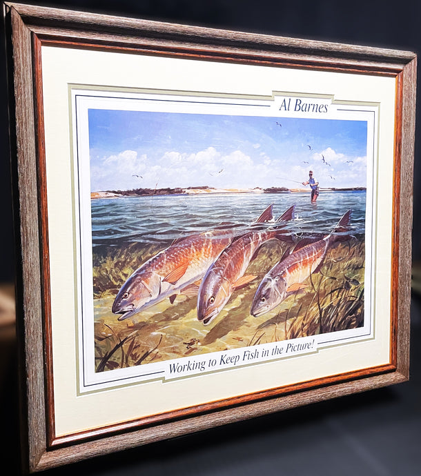 Al Barnes Working To Keep Fish In The Picture Lithograph Quality Poster - Brand New Custom Sporting  Frame