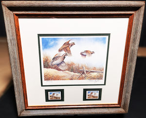 Allen Hughes 1982 Quail Unlimited Stamp Print With Double Stamps - Brand New Custom Sporting Frame