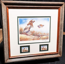 Load image into Gallery viewer, Allen Hughes 1982 Quail Unlimited Stamp Print With Double Stamps - Brand New Custom Sporting Frame