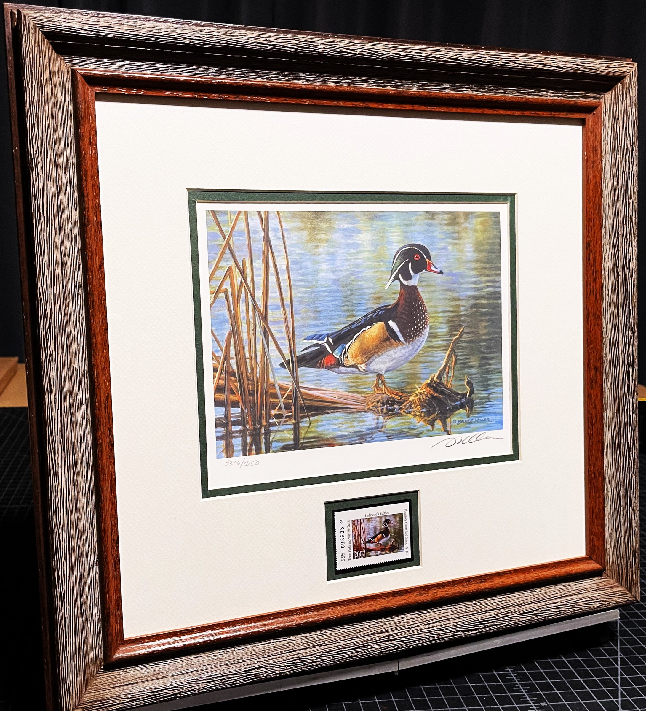 Bruce Miller 2007 Texas Waterfowl Duck Stamp Print With Stamp - Brand New Custom Sporting Frame