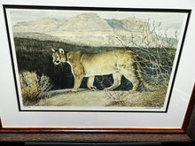 Load image into Gallery viewer, Charles Beckendorf 1980 Texas Mountain Lion Lithograph Print - Brand New Custom Sporting Frame