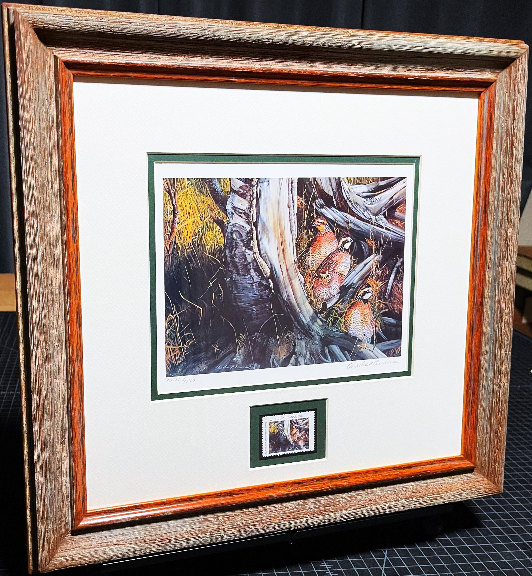 Charles McKay Freeman 2000 Quail Unlimited Stamp Print With Stamp - Brand New Custom Sporting Frame