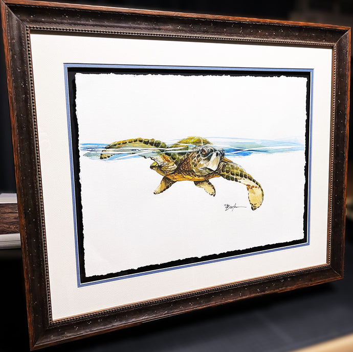 Don Breeden Original Watercolor Painting Half Sheet Ridley Turtle  - Brand New Super Custom Sporting Frame