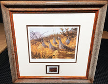 Load image into Gallery viewer, Eldridge Hardie 2007 Texas Upland Game Bird Stamp Print With Stamp - Brand New Custom Sporting Frame