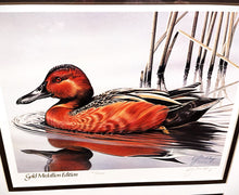Load image into Gallery viewer, Gerald Mobley 1985 Federal Migratory Duck Stamp Print Gold Medallion Edition With Double Stamps - Brand New Custom Sporting Frame