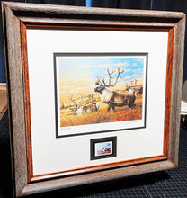 Load image into Gallery viewer, Guy Coheleach 1983 Boone And Crockett Club Stamp Print With Stamp - Brand New Custom Sporting Frame