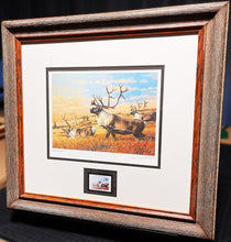 Load image into Gallery viewer, Guy Coheleach 1983 Boone And Crockett Club Stamp Print With Stamp - Brand New Custom Sporting Frame