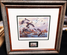 Load image into Gallery viewer, Harry Adamson 1989 Ducks Unlimited Stamp Print With Stamp - Brand New Super Custom Sporting Frame