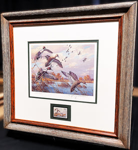 Harry Adamson 1989 Ducks Unlimited Stamp Print With Stamp - Brand New Super Custom Sporting Frame