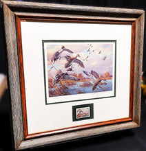 Load image into Gallery viewer, Harry Adamson 1989 Ducks Unlimited Stamp Print With Stamp - Brand New Super Custom Sporting Frame