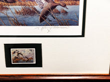 Load image into Gallery viewer, Harry Adamson 1989 Ducks Unlimited Stamp Print With Stamp - Brand New Super Custom Sporting Frame