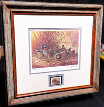 Load image into Gallery viewer, Herb Booth 1996 Texas Quail Stamp Print With Double Stamps Artist Proof&quot;