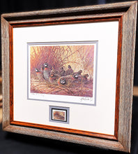 Load image into Gallery viewer, Herb Booth 1996 Texas Quail Stamp Print With Double Stamps Artist Proof&quot;