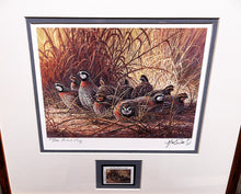 Load image into Gallery viewer, Herb Booth 1996 Texas Quail Stamp Print With Double Stamps Artist Proof&quot;