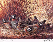 Load image into Gallery viewer, Herb Booth 1996 Texas Quail Stamp Print With Double Stamps Artist Proof&quot;