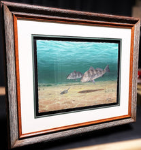 Load image into Gallery viewer, John Dearman Black Drum 2024 GiClee Quarter Sheet - Brand New Super Custom Sporting Frame