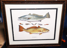 Load image into Gallery viewer, John Dearman Recuerdos GiClee 3/4 Sheet Speckled Trout, Red &amp; Lures - Brand New Super Custom Sporting Frame  ***  CHRISTMAS SPECIAL  ***