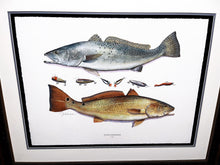 Load image into Gallery viewer, John Dearman Recuerdos GiClee 3/4 Sheet Speckled Trout, Red &amp; Lures - Brand New Super Custom Sporting Frame  ***  CHRISTMAS SPECIAL  ***