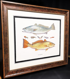 John Dearman Recuerdos GiClee 3/4 Sheet Speckled Trout, Red & Lures - Brand New Custom Sporting Frame  ***  SUMMER SPECIAL  ***