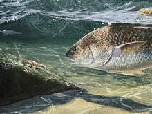 Load image into Gallery viewer, John Dearman Redfish 2008 GiClee Full Sheet - Brand New Super Custom Sporting Frame