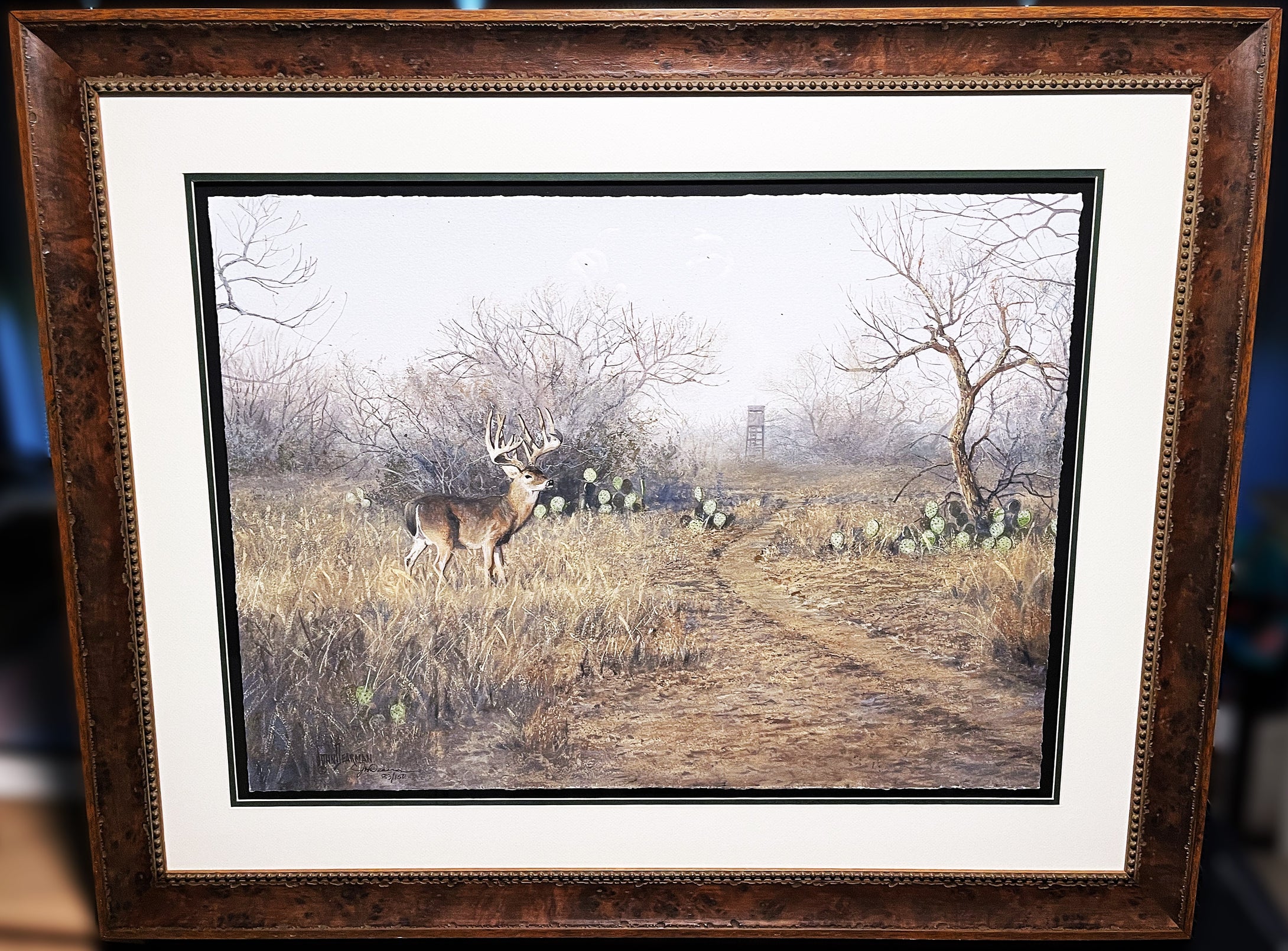 John Dearman The Loner GiClee Full Sheet Coastal Conservation Association CCA - Brand New Super Custom Sporting Frame