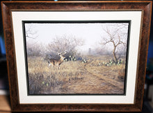 Load image into Gallery viewer, John Dearman The Loner GiClee Full Sheet Coastal Conservation Association CCA - Brand New Super Custom Sporting Frame