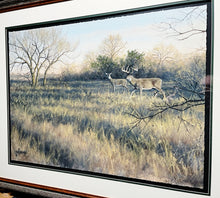 Load image into Gallery viewer, John Dearman Whitetail 2020 GiClee Half Sheet - Published Through The Coastal Conservation Association, CCA - Brand New Custom Sporting Frame