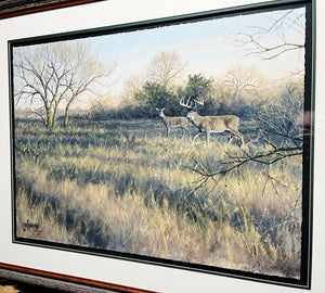 John Dearman Whitetail 2020 GiClee Half Sheet - Published Through The Coastal Conservation Association, CCA - Brand New Custom Sporting Frame