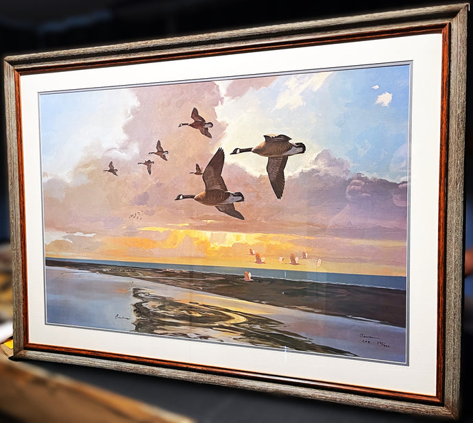 John P. Cowan The Island Lithograph Print - Special Oversize Edition - Classic Canada Goose Scene Published and Printed 1995 - Mint Condition - Brand New Super Custom Sporting Frame