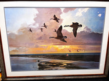 Load image into Gallery viewer, John P. Cowan The Island Lithograph Print - Special Oversize Edition - Classic Canada Goose Scene Published and Printed 1995 - Mint Condition - Brand New Custom Sporting Frame