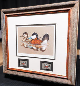 John S. Wilson 1981 Federal Migratory Duck Stamp Print With Double Stamps - Brand New Custom Sporting Frame