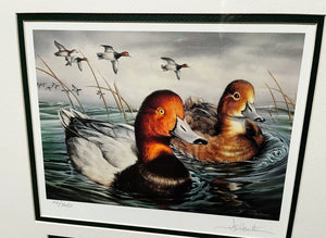 Joe Hautman 2002 Texas Waterfowl Duck Stamp Print With Double Stamps - Brand New Super Custom Sporting Frame