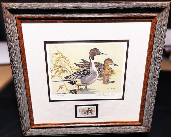 Ken Carlson 1982 Texas Waterfowl Duck Stamp Print With Stamp - Brand New Super Custom Sporting Frame  ***  CHRISTMAS SPECIAL  ***