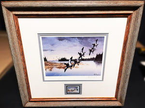 Les Kouba 1988 Ducks Unlimited Canada Stamp Print With Stamp - Brand New Custom Sporting Frame