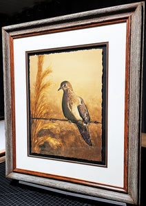 Les McDonald Barbed Wire Lookout GiClee Half Sheet Mourning Dove 1 Of 200 - Brand New Custom Sporting Frame