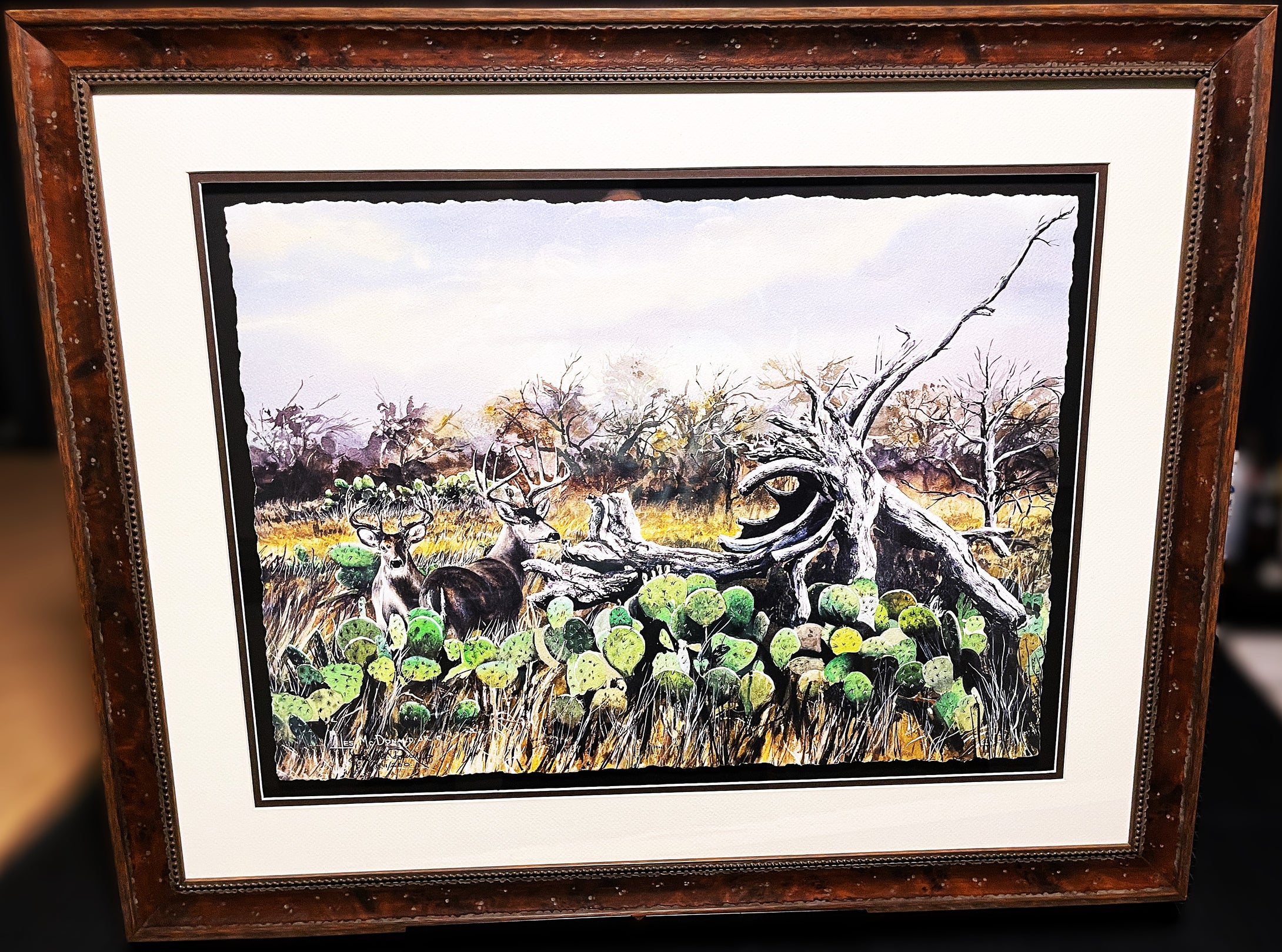 Les McDonald Cactus Bucks GiClee Half Sheet - Brand New Super Custom Sporting Frame