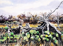 Load image into Gallery viewer, Les McDonald Cactus Bucks GiClee Half Sheet - Brand New Super Custom Sporting Frame