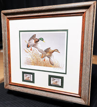 Load image into Gallery viewer, Maynard Reece 1988 National Fish And Wildlife Foundation Ducks Unlimited Edition Stamp Print With Double Stamps&quot; - Autumn Wings - Brand New Custom Sporting Frame