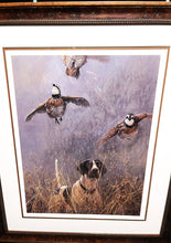 Load image into Gallery viewer, Seerey Lester Flight Path Lithograph Limited Edition Bobwhite Quail Scene - Brand New Super Custom Sporting Frame  ***  CHRISTMAS SPECIAL  ***