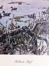 Load image into Gallery viewer, John P. Cowan Mallards High Lithograph Year 1974 - Brand New Custom Sporting Frame