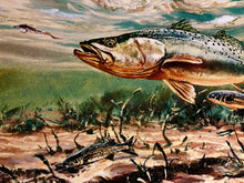 Load image into Gallery viewer, Chance Yarbrough Dangerous Company GiClee Half Sheet - Speckled Trout With Mullet - Brand New Custom Sporting Frame