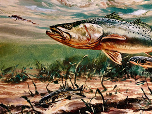 Chance Yarbrough Dangerous Company GiClee Half Sheet - Speckled Trout With Mullet - Brand New Custom Sporting Frame