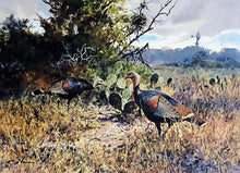 Load image into Gallery viewer, John P. Cowan 1988 Texas Wild Turkey Stamp Print With Double Stamps - Brand New Custom Sporting Frame