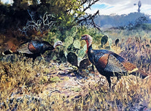 Load image into Gallery viewer, John P. Cowan 1988 Texas Wild Turkey Stamp Print With Double Stamps - Brand New Custom Sporting Frame