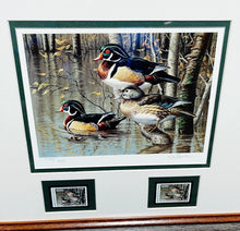 Load image into Gallery viewer, James Hautman 1999 Arkansas Waterfowl Duck Stamp Print With Double Stamps - 7 Devils Wood Ducks - Brand New Custom Sporting Frame