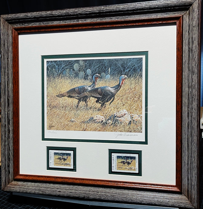 John Dearman 1991 Texas Turkey Stamp Print With Double Stamps - Brand New Super Custom Sporting Frame